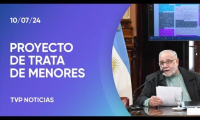 Se debate la ley por sustracción de menores en el Senado