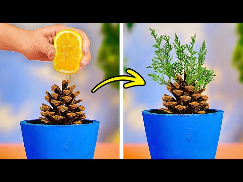 Trucos de jardinería ultra secretos que desearías haber conocido antes. 🌿😲 Trucos de jardinería ultra secretos que desearías haber conocido antes. 🌿😲