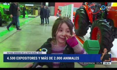 Última semana de la Expo Rural 2024: más de 2.000 animales y 4.500 expositores