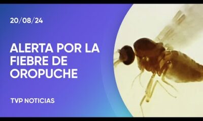 Alarma por la fiebre de Oropuche