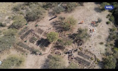 Claudio Poggi participa de la plantación de arboles en Casa de Gobierno