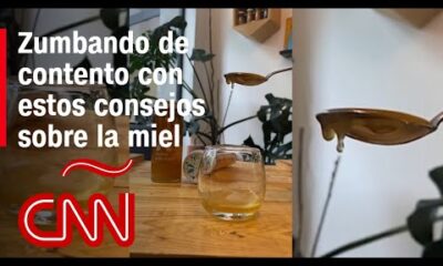 Conoce cómo puedes sacarle provecho a la miel en la cocina