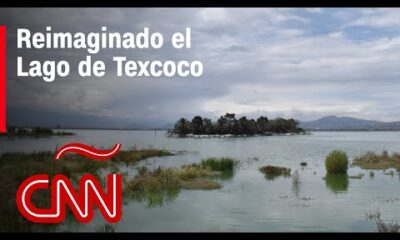 De aeropuerto, a parque ecológico: cómo AMLO reinventó el Lago de Texcoco