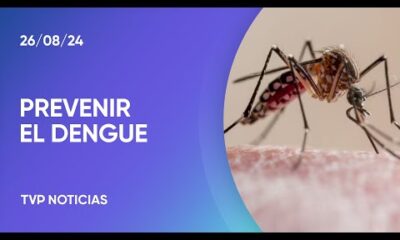 Dengue: el rol de la vacunación en el control y prevención de la enfermedad