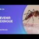 Dengue: el rol de la vacunación en el control y prevención de la enfermedad