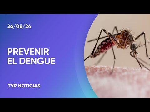 Dengue: el rol de la vacunación en el control y prevención de la enfermedad Dengue: el rol de la vacunación en el control y prevención de la enfermedad