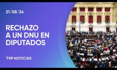 Diputados rechazó el DNU de Milei que aumentó los fondos de la SIDE