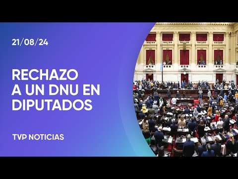 Diputados rechazó el DNU de Milei que aumentó los fondos de la SIDE