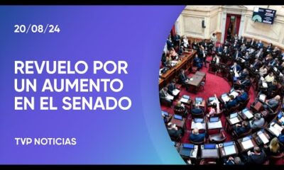 En qué se basa el aumento que recibieron los senadores