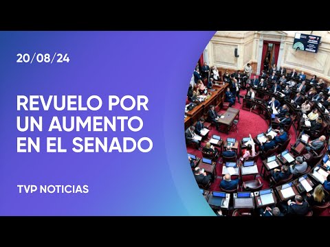 En qué se basa el aumento que recibieron los senadores En qué se basa el aumento que recibieron los senadores