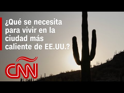 Esto se necesita para sobrevivir en la ciudad más caliente de Estados Unidos