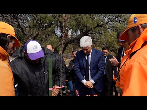 Eugenio Barroso, Jefe de Arbolado de Espacios Públicos de la Provincia Eugenio Barroso, Jefe de Arbolado de Espacios Públicos de la Provincia