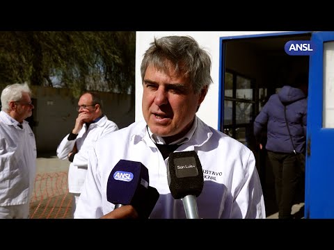 Gustavo Kahl, Presidente de Marfrig