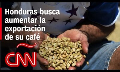 La estrategia de los exportadores de café de Honduras para crecer en el mercado