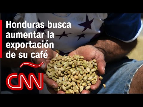 La estrategia de los exportadores de café de Honduras para crecer en el mercado La estrategia de los exportadores de café de Honduras para crecer en el mercado