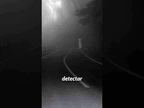 LOS TESLA DETECTAN FANTASMAS!!!!? LOS TESLA DETECTAN FANTASMAS!!!!?