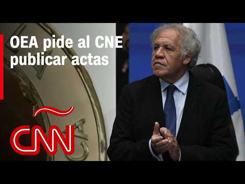 OEA pide al CNE publicar actas de las elecciones: resumen en video de últimas noticias en Venezuela OEA pide al CNE publicar actas de las elecciones: resumen en video de últimas noticias en Venezuela