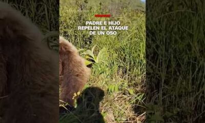 Padre e hijo repelen el ataque de un oso