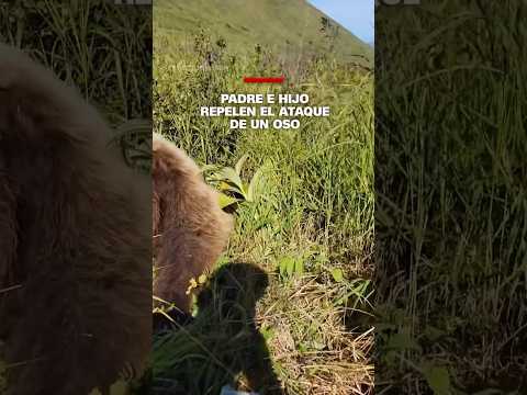 Padre e hijo repelen el ataque de un oso Padre e hijo repelen el ataque de un oso