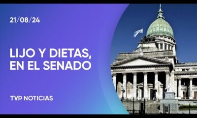 Semana cargada en el Senado por el pliego de Lijo y el aumento de las dietas