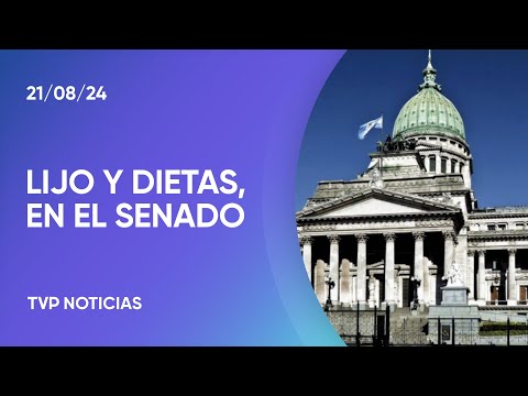 Semana cargada en el Senado por el pliego de Lijo y el aumento de las dietas Semana cargada en el Senado por el pliego de Lijo y el aumento de las dietas