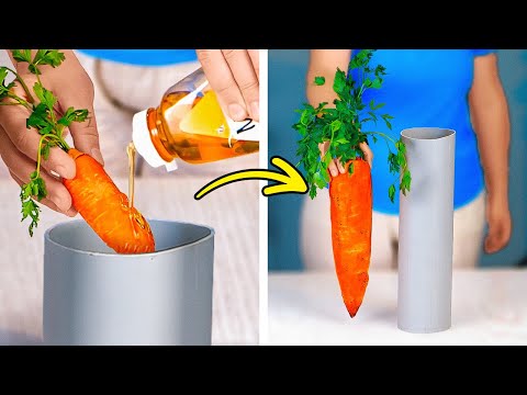 ¡TRUCOS MÁGICOS DE JARDINERÍA QUE NO CREERÁS QUE EXISTEN! 🌱✨ ¡TRUCOS MÁGICOS DE JARDINERÍA QUE NO CREERÁS QUE EXISTEN! 🌱✨