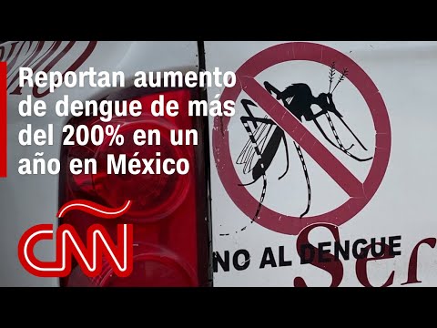 Un municipio de México luce como pueblo fantasma a causa del dengue Un municipio de México luce como pueblo fantasma a causa del dengue