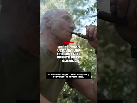 Así es como Ucrania usa presos en el frente de guerra Así es como Ucrania usa presos en el frente de guerra