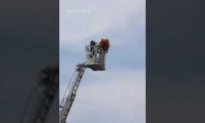 Bomberos auxilian a turista en la Torre de Pisa