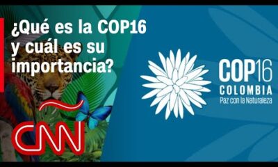 Cali, Colombia, recibe a la COP16 y se convierte en la sede de la biodiversidad