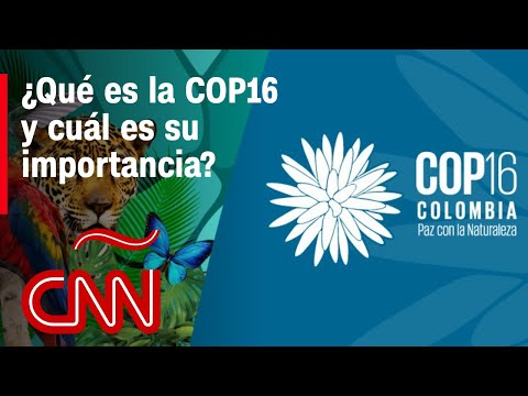 Cali, Colombia, recibe a la COP16 y se convierte en la sede de la biodiversidad Cali, Colombia, recibe a la COP16 y se convierte en la sede de la biodiversidad