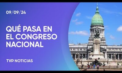 Congreso: Ritondo va a la Rosada, tratan la reforma jubilatoria y Milei expone el 16 de sptiembre