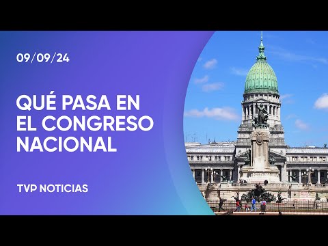 Congreso: Ritondo va a la Rosada, tratan la reforma jubilatoria y Milei expone el 16 de sptiembre