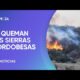 Córdoba: las llamas arrasan con la biodiversidad y la vida silvestre