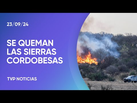 Córdoba: las llamas arrasan con la biodiversidad y la vida silvestre Córdoba: las llamas arrasan con la biodiversidad y la vida silvestre