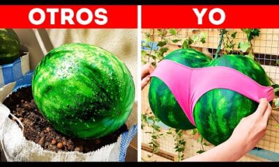 CRECE TUS FRUTAS CON ESTOS TRUCOS DE JARDINERÍA ✨🍉