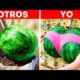 CRECE TUS FRUTAS CON ESTOS TRUCOS DE JARDINERÍA ✨🍉