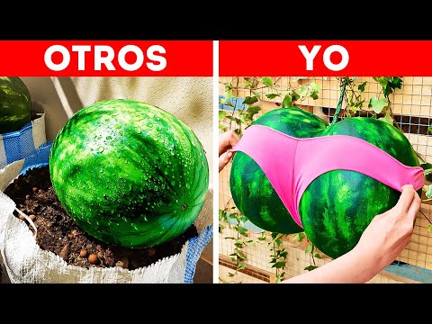 CRECE TUS FRUTAS CON ESTOS TRUCOS DE JARDINERÍA ✨🍉