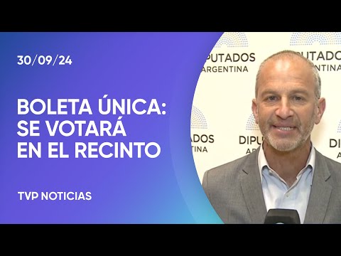 Diputados dictaminó la Boleta Única de Papel Diputados dictaminó la Boleta Única de Papel