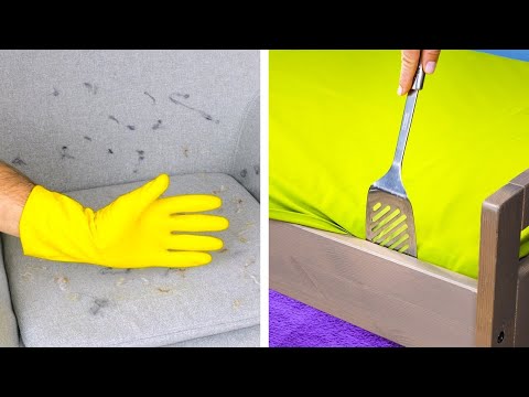 Diversión sin Suciedad: Hacks y Trucos Innovadores para un Hogar Higiénico Diversión sin Suciedad: Hacks y Trucos Innovadores para un Hogar Higiénico