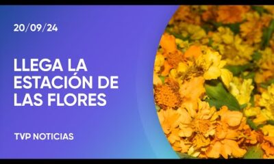 El mercado de las flores de Barracas recibe la primavera