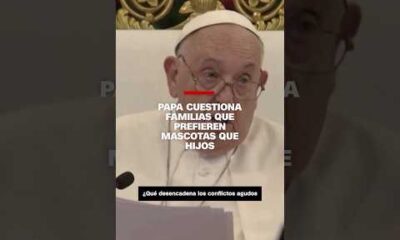 El Papa cuestiona familias que prefieren mascotas que hijos