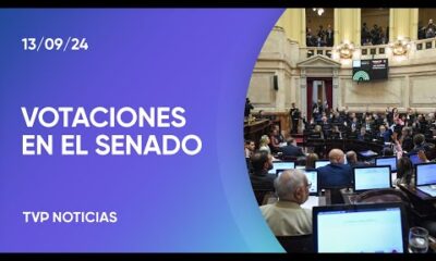 El Senado rechazó el DNU sobre la SIDE pero aprobó la boleta única papel