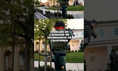 Granjas de cannabis en vecindarios de California