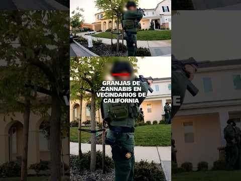 Granjas de cannabis en vecindarios de California Granjas de cannabis en vecindarios de California