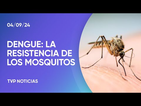 Hallan mosquitos resistentes a los repelentes