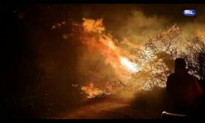 Incendios forestales