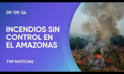 Incendios sin control en el Amazonas: miles de focos y columnas de humo que viajan lejos