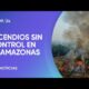 Incendios sin control en el Amazonas: miles de focos y columnas de humo que viajan lejos