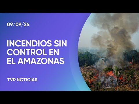 Incendios sin control en el Amazonas: miles de focos y columnas de humo que viajan lejos Incendios sin control en el Amazonas: miles de focos y columnas de humo que viajan lejos